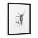 Bosquejo De Animales Occidentales Ii - Ethan Harper | Cuadro decorativo de Canvas Lab