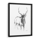 Bosquejo De Animales Occidentales Ii - Ethan Harper | Cuadro decorativo de Canvas Lab