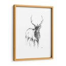 Bosquejo De Animales Occidentales Ii - Ethan Harper | Cuadro decorativo de Canvas Lab