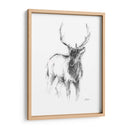 Bosquejo De Animales Occidentales Ii - Ethan Harper | Cuadro decorativo de Canvas Lab