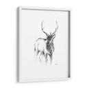 Bosquejo De Animales Occidentales Ii - Ethan Harper | Cuadro decorativo de Canvas Lab