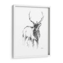 Bosquejo De Animales Occidentales Ii - Ethan Harper | Cuadro decorativo de Canvas Lab