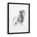 Bosquejo De Animales Occidentales Iii - Ethan Harper | Cuadro decorativo de Canvas Lab