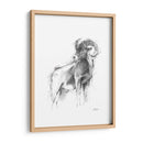 Bosquejo De Animales Occidentales Iii - Ethan Harper | Cuadro decorativo de Canvas Lab