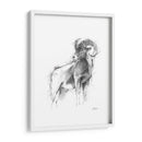 Bosquejo De Animales Occidentales Iii - Ethan Harper | Cuadro decorativo de Canvas Lab