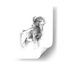 Bosquejo De Animales Occidentales Iii - Ethan Harper | Cuadro decorativo de Canvas Lab