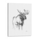 Bosquejo De Animales Occidentales Iv - Ethan Harper | Cuadro decorativo de Canvas Lab