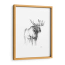 Bosquejo De Animales Occidentales Iv - Ethan Harper | Cuadro decorativo de Canvas Lab