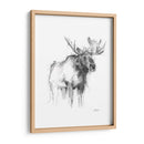 Bosquejo De Animales Occidentales Iv - Ethan Harper | Cuadro decorativo de Canvas Lab