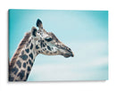 Jirafa cyan | Cuadro decorativo de Canvas Lab