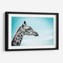 Jirafa cyan | Cuadro decorativo de Canvas Lab