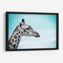 Jirafa cyan | Cuadro decorativo de Canvas Lab