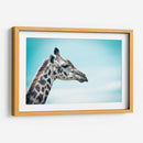 Jirafa cyan | Cuadro decorativo de Canvas Lab