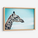 Jirafa cyan | Cuadro decorativo de Canvas Lab