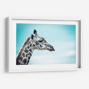Jirafa cyan | Cuadro decorativo de Canvas Lab