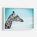 Jirafa cyan | Cuadro decorativo de Canvas Lab