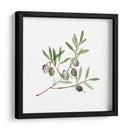 Rama Oliva Ii - Melissa Wang | Cuadro decorativo de Canvas Lab
