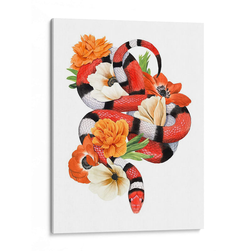 Rey Serpiente I - Grace Popp | Cuadro decorativo de Canvas Lab