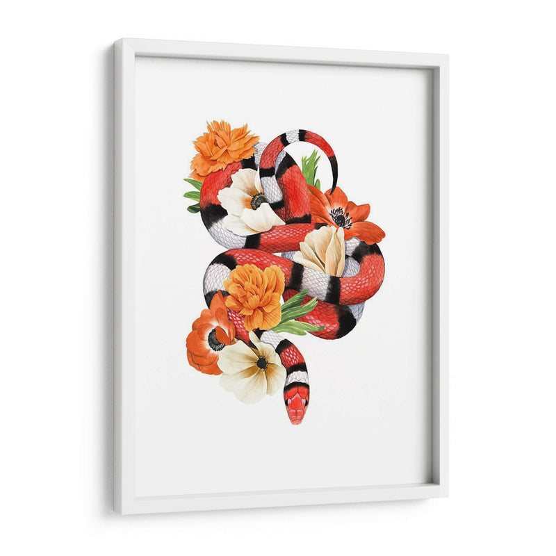 Rey Serpiente I - Grace Popp | Cuadro decorativo de Canvas Lab