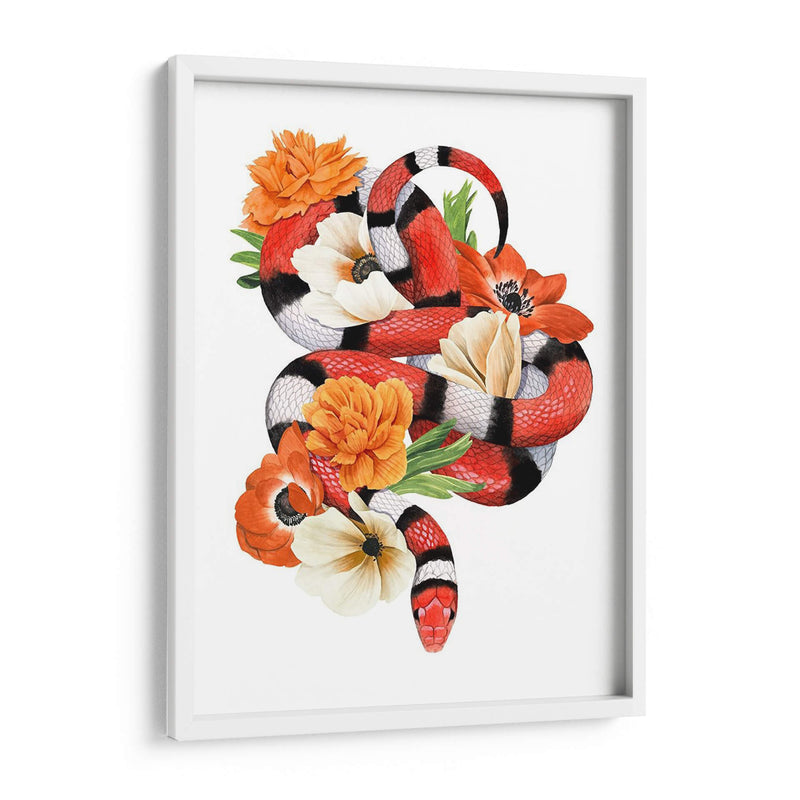 Rey Serpiente I - Grace Popp | Cuadro decorativo de Canvas Lab