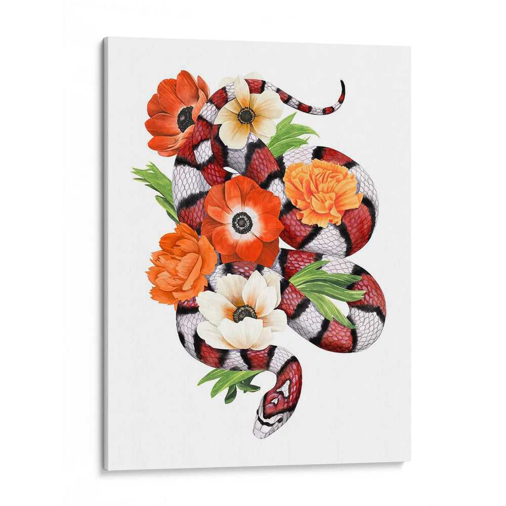 Rey Snake Ii - Grace Popp | Cuadro decorativo de Canvas Lab