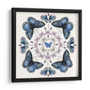 Mandala Ii De La Mariposa - Jennifer Paxton Parker | Cuadro decorativo de Canvas Lab