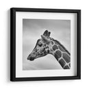 Jirafa en blanco y negro | Cuadro decorativo de Canvas Lab