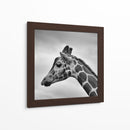 Jirafa en blanco y negro | Cuadro decorativo de Canvas Lab