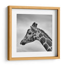 Jirafa en blanco y negro | Cuadro decorativo de Canvas Lab