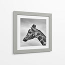 Jirafa en blanco y negro | Cuadro decorativo de Canvas Lab