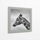 Jirafa en blanco y negro | Cuadro decorativo de Canvas Lab