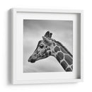 Jirafa en blanco y negro | Cuadro decorativo de Canvas Lab