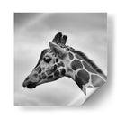 Jirafa en blanco y negro | Cuadro decorativo de Canvas Lab