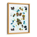 Capri Iii - Stephen Switzer | Cuadro decorativo de Canvas Lab