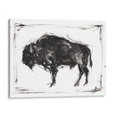 Bisonte Dinámico Ii - Ethan Harper | Cuadro decorativo de Canvas Lab