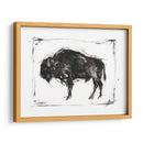 Bisonte Dinámico Ii - Ethan Harper | Cuadro decorativo de Canvas Lab