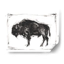 Bisonte Dinámico Ii - Ethan Harper | Cuadro decorativo de Canvas Lab