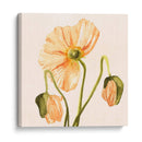 Highpoint Poppies I - Emma Scarvey | Cuadro decorativo de Canvas Lab