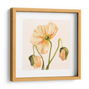 Highpoint Poppies I - Emma Scarvey | Cuadro decorativo de Canvas Lab