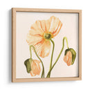 Highpoint Poppies I - Emma Scarvey | Cuadro decorativo de Canvas Lab