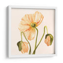 Highpoint Poppies I - Emma Scarvey | Cuadro decorativo de Canvas Lab