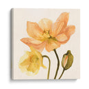 Poppies Highpoint Ii - Emma Scarvey | Cuadro decorativo de Canvas Lab