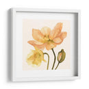 Poppies Highpoint Ii - Emma Scarvey | Cuadro decorativo de Canvas Lab