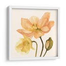 Poppies Highpoint Ii - Emma Scarvey | Cuadro decorativo de Canvas Lab