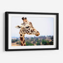 Jirafa observando | Cuadro decorativo de Canvas Lab