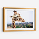 Jirafa observando | Cuadro decorativo de Canvas Lab