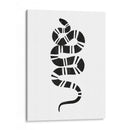 Epidaurus Snake Iii - Emma Scarvey | Cuadro decorativo de Canvas Lab