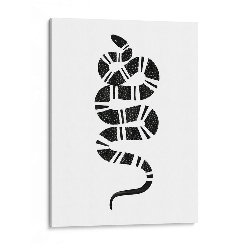 Epidaurus Snake Iii - Emma Scarvey | Cuadro decorativo de Canvas Lab