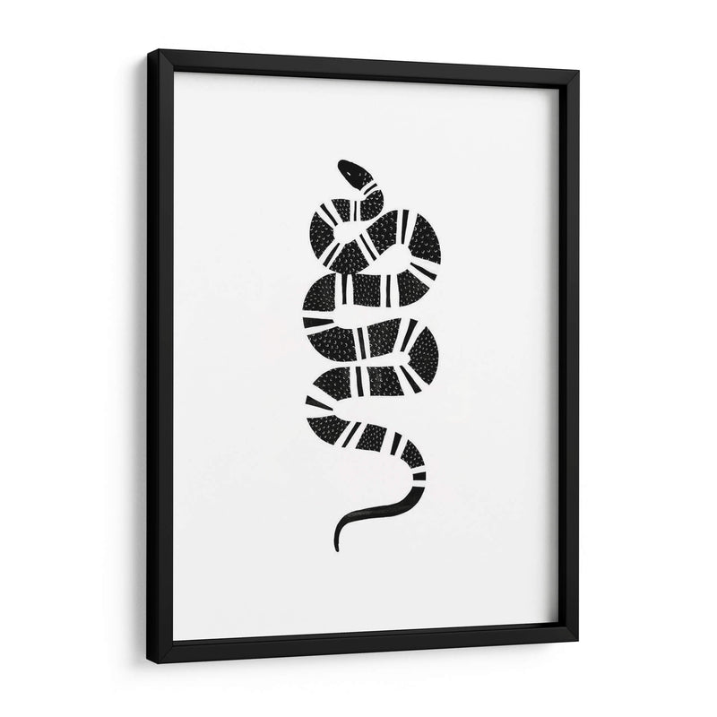 Epidaurus Snake Iii - Emma Scarvey | Cuadro decorativo de Canvas Lab