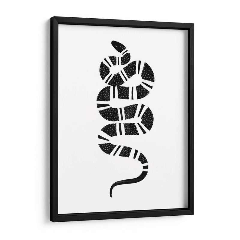 Epidaurus Snake Iii - Emma Scarvey | Cuadro decorativo de Canvas Lab